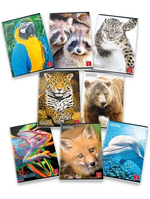 Pigna Animal 02302831R, Quaderno formato A4, Rigatura 1R, righe per medie e superiori, Carta 80g/mq, Pacco da 10 Pezzi