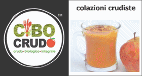 ricette cibo crudo - colazioni crudiste