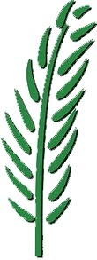 Domenica delle Palme, Ingresso di Gesù a Gerusalemme