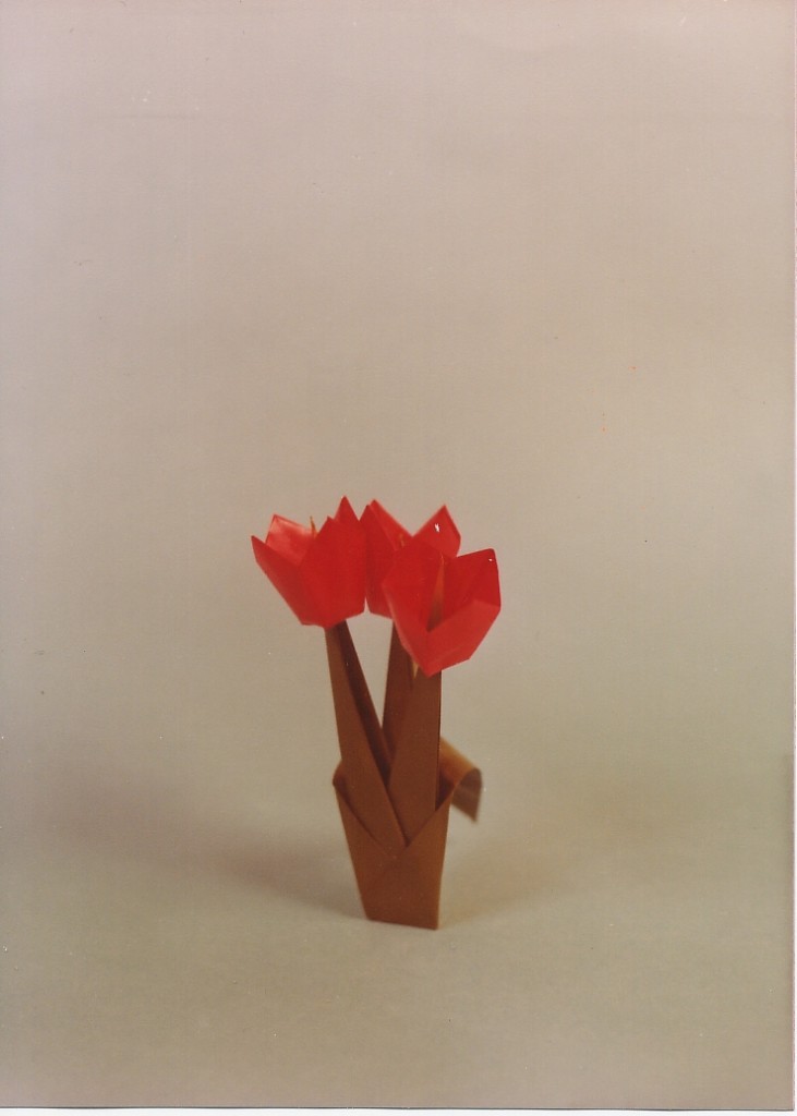Origami03
